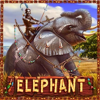 ELEPHANT Image