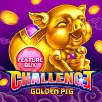 FEATURE BUY・GOLDEN PIG Image