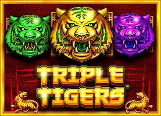 Triple Tigers Image