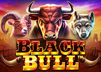 Black Bull Image