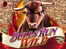 Bulls Run Wild Image