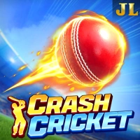 Crash Cricket Image