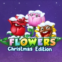 Flowers Christmas Edition Image