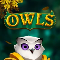 Owls Image