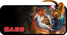 GA28 Cock Fight Image