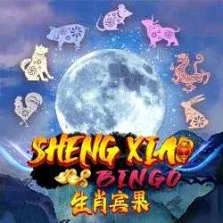 Sheng Xiao Bingo Image