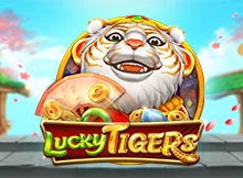 Lucky Tigers Image