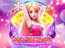 Wild Disco Night Image