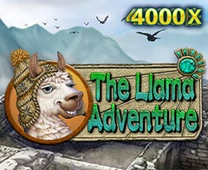Llama Adventure Image