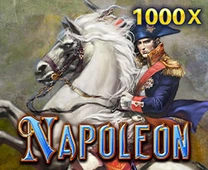 Napoleon Image