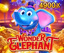 Wonder Elephant Image